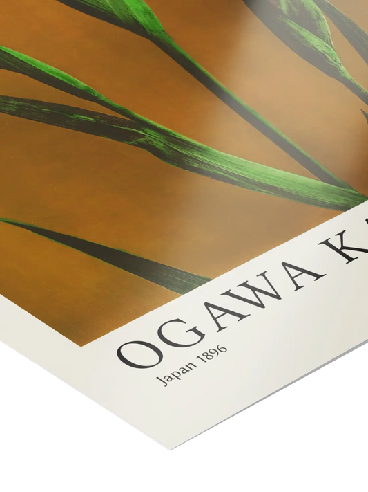 Ogawa Kazumasa - Iris Kæmpferi Poster
