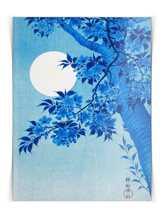 Ohara Koson - Blossoming Cherry Poster