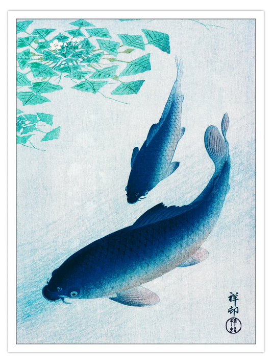 Ohara Koson - Two Koi Carp Fish Poster