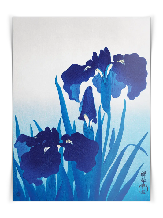 Ohara Koson - Iris Flowers Poster