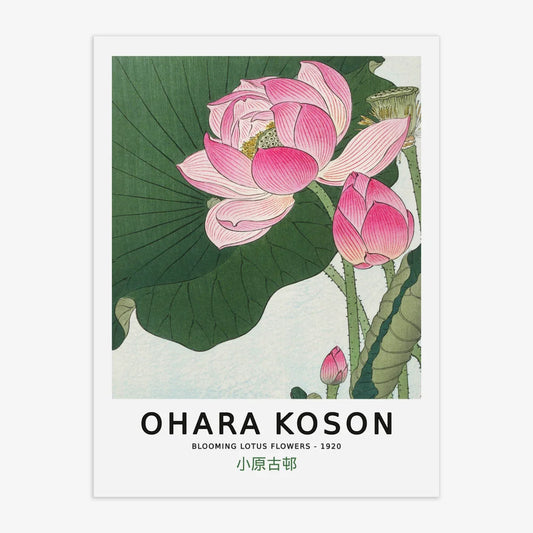 Ohara Koson - Blooming Lotus Flowers Poster