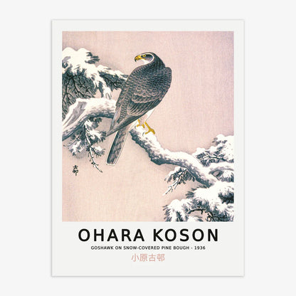 Ohara Koson - Goshawk on Pine Bough Poster