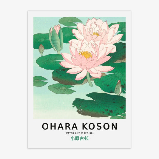 Ohara Koson – Water Lily Poster