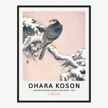 Ohara Koson - Goshawk on Pine Bough Poster