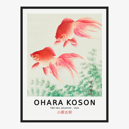 Ohara Koson – Two veil Goldfish Poster