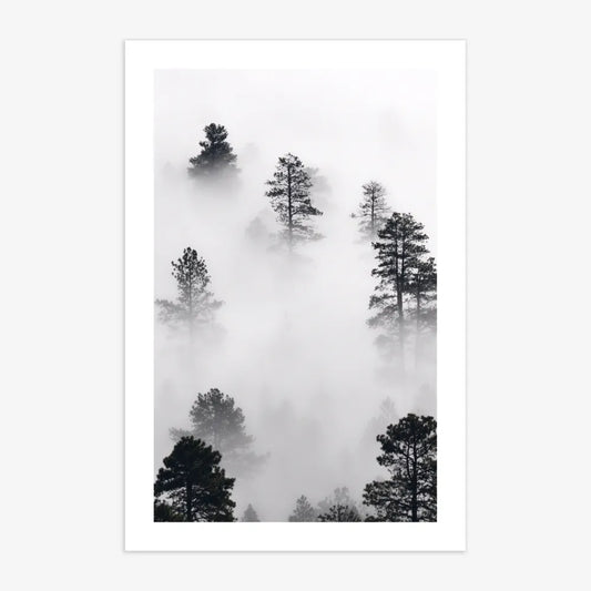 Wald mit Nebel Poster