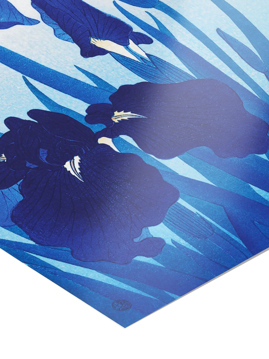 Ohara Koson - Iris Flowers Poster