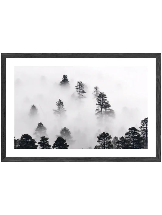 Benebelter Wald Poster