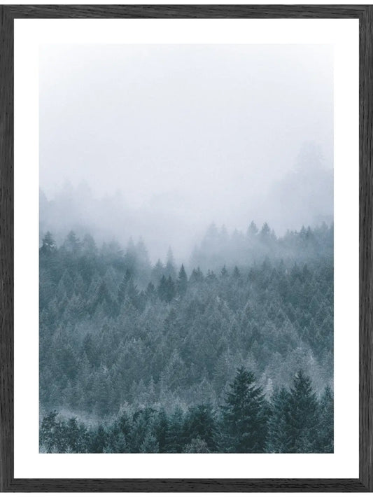 Beschneiter Wald Poster