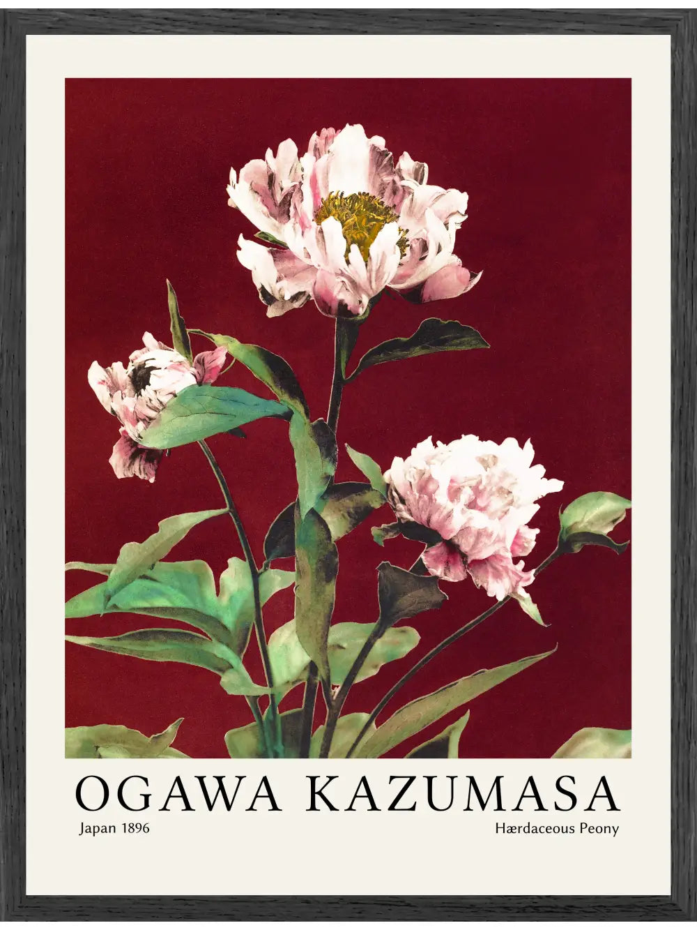 Ogawa Kazumasa - Hærdaceous Peony Nr 2 Poster