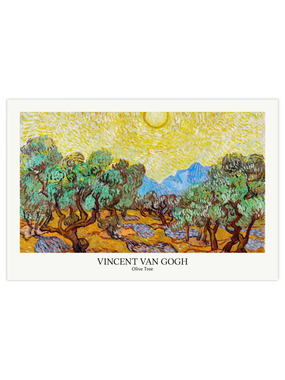 Vincent van Gogh - Olivenbäume Panorama Poster